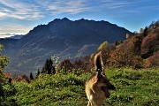 19 Dalla Cascina Mattuida vista in Alben